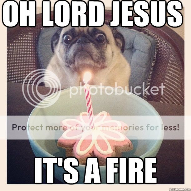 Willy Wonka Broadway Transfer?