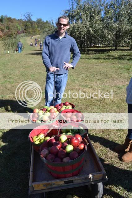  photo skytop_orchards_oct_201313_zpsb483f2bf.jpg