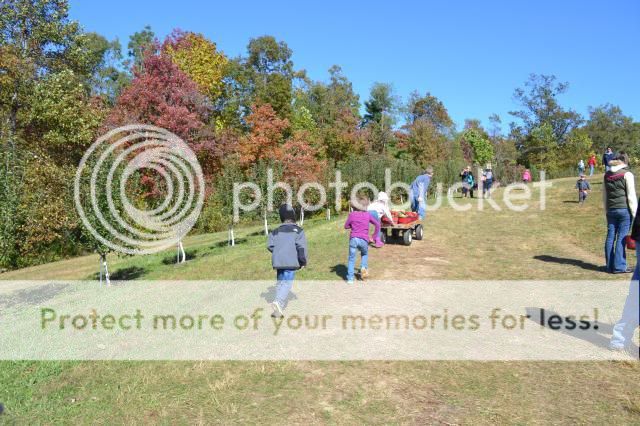  photo skytop_orchards_oct_201314_zps1afff120.jpg