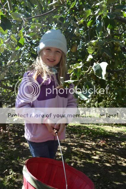  photo skytop_orchards_oct_20132_zpse34fed52.jpg