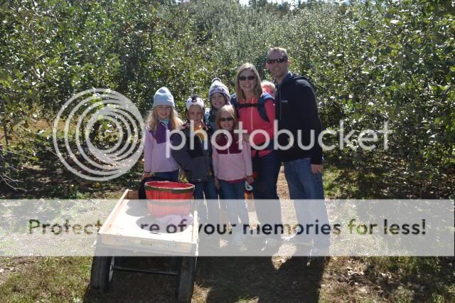  photo skytop_orchards_oct_20133_zpsfc43478e.jpg
