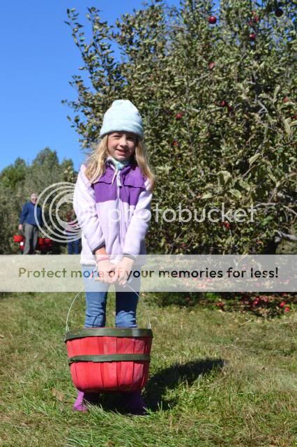  photo skytop_orchards_oct_20136_zps99ee36ba.jpg