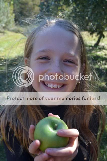  photo skytop_orchards_oct_20137_zps7e024d46.jpg