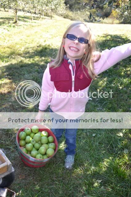 photo skytop_orchards_oct_20138_zps9a737533.jpg