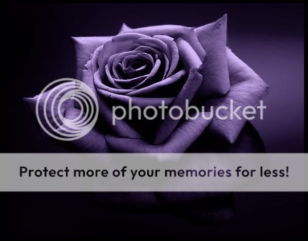 violetrose.jpg image by lethuypainter