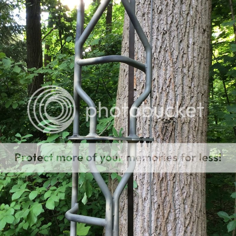 Best Ladder stand for bow hunting? Archery Talk Forum
