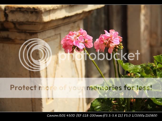 TAORMINA, wbr西西里人气最旺的旅游地