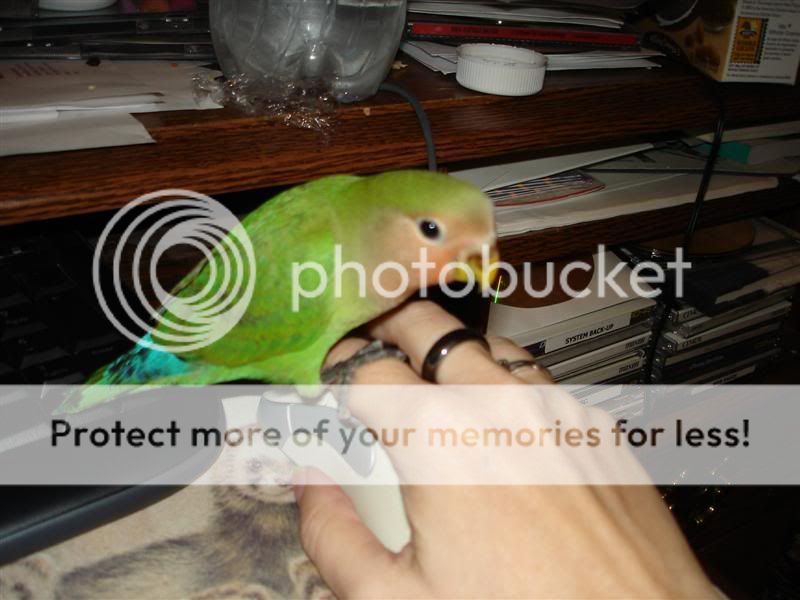 Photobucket