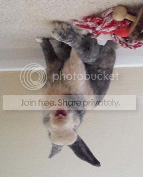  photo 20140418_143447.jpg