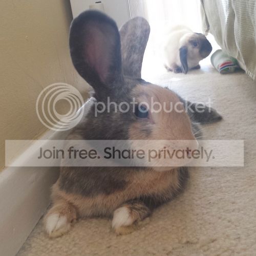  photo 20140704_171808.jpg