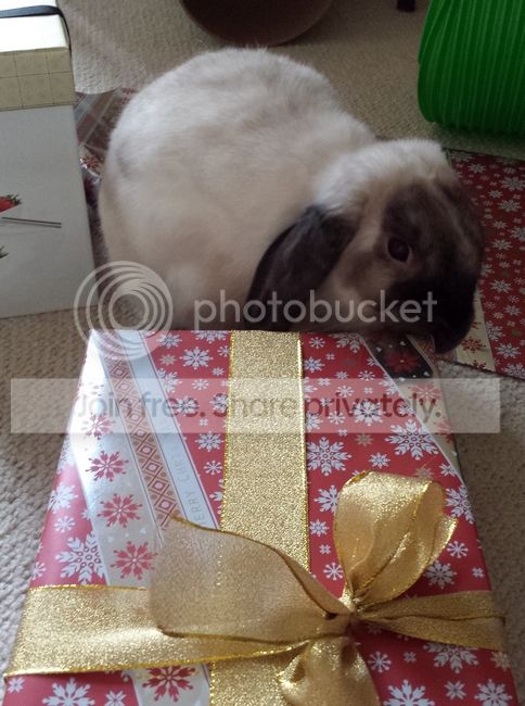  photo 20131210_143645.jpg