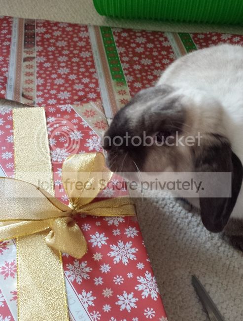  photo 20131210_143653.jpg