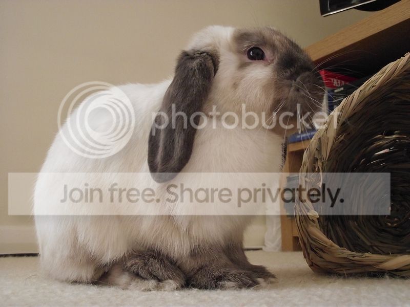 buddy35 photo DSCF6910.jpg