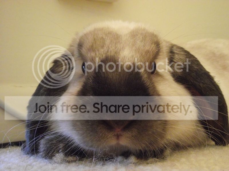 buddy34 photo DSCF8249.jpg