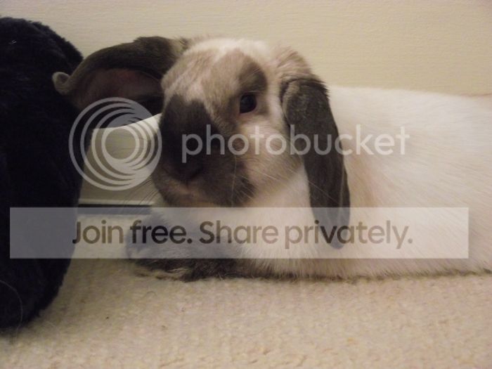 buddy40 photo DSCF8359.jpg