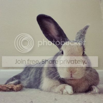  photo IMG_20140710_161110.jpg