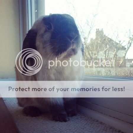  photo IMG_20150217_092720.jpg