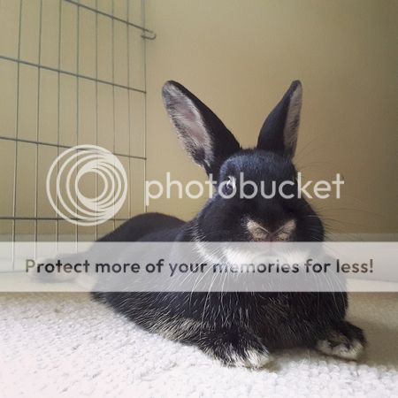  photo IMG_20151119_024035.jpg