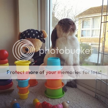  photo IMG_20151204_091728.jpg