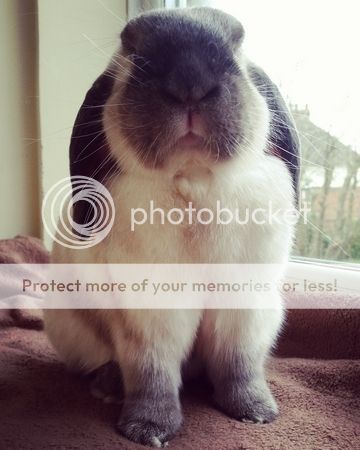  photo IMG_20160422_084809.jpg