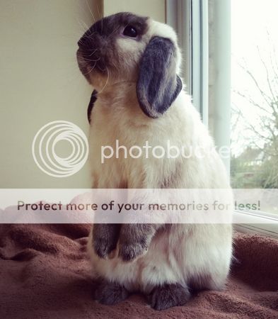  photo IMG_20160422_084957.jpg