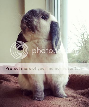  photo IMG_20160422_085149.jpg