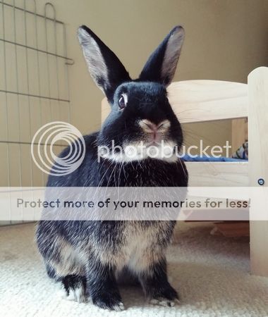  photo IMG_20160422_085326.jpg