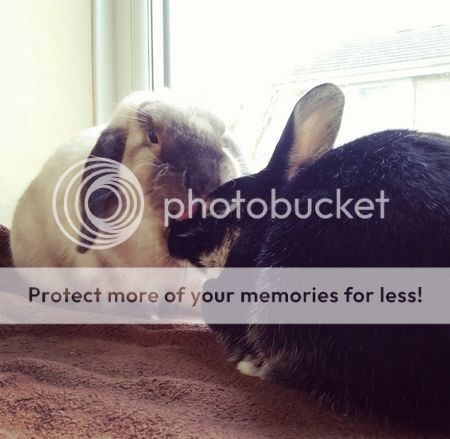  photo IMG_20160422_092216.jpg