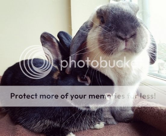  photo IMG_20160422_094620.jpg