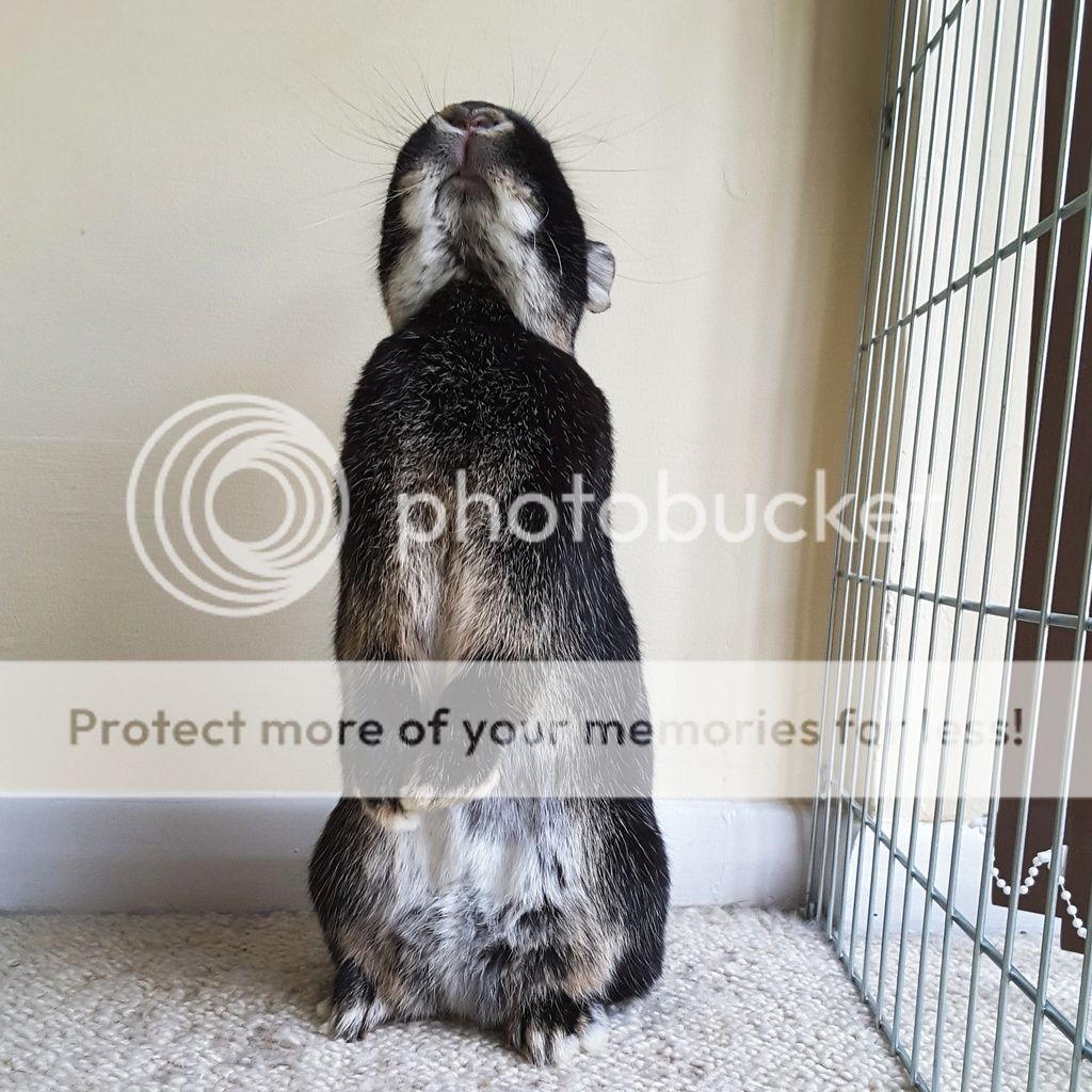  photo IMG_20151123_093153.jpg