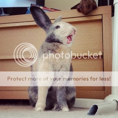  photo dd39e172-8938-4827-af13-17240aaa166d.jpg