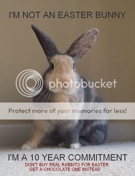  photo makeminechocolate.jpg