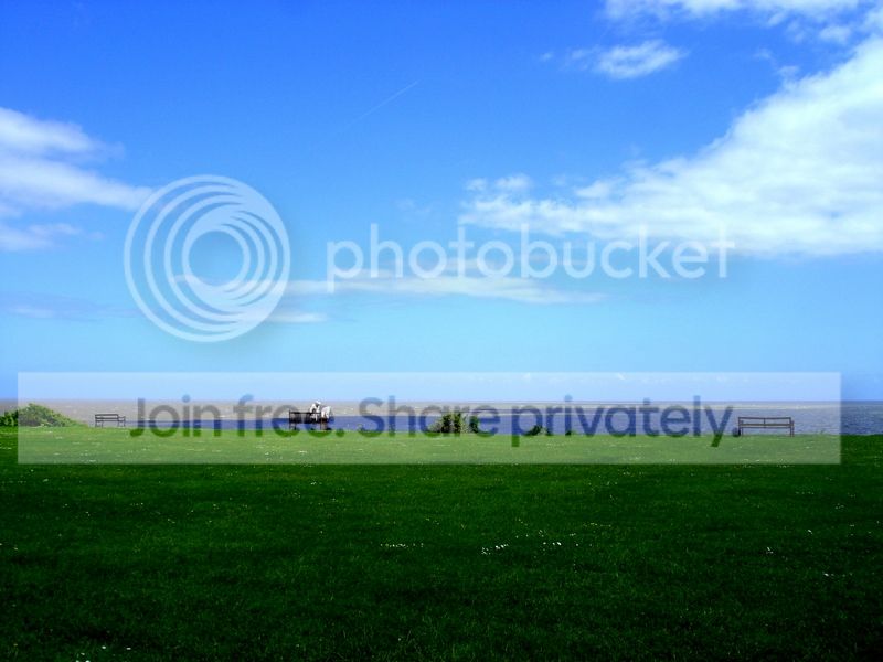  photo 4.jpg