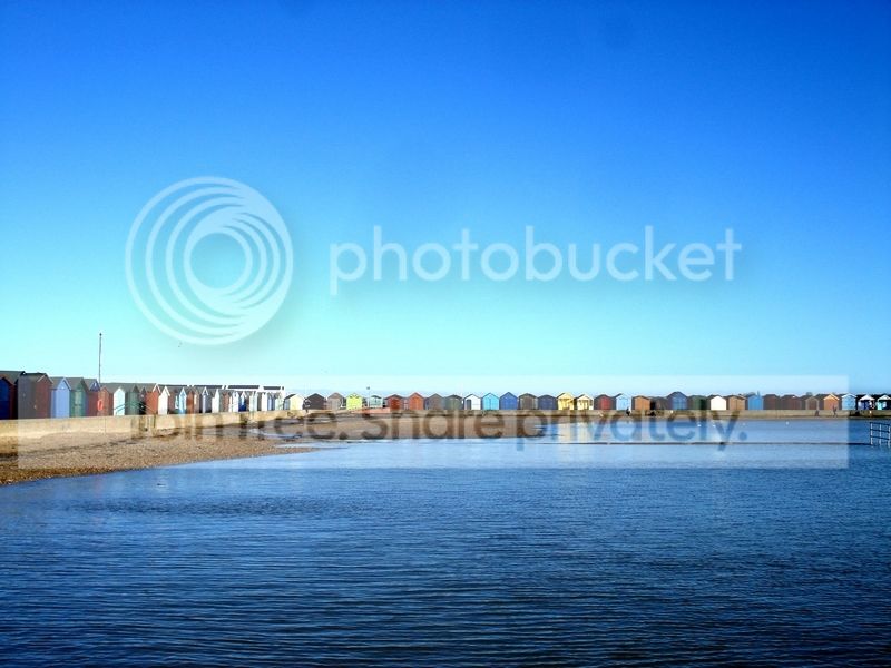  photo 5.jpg